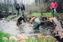 Woodiebrook fish seining_m